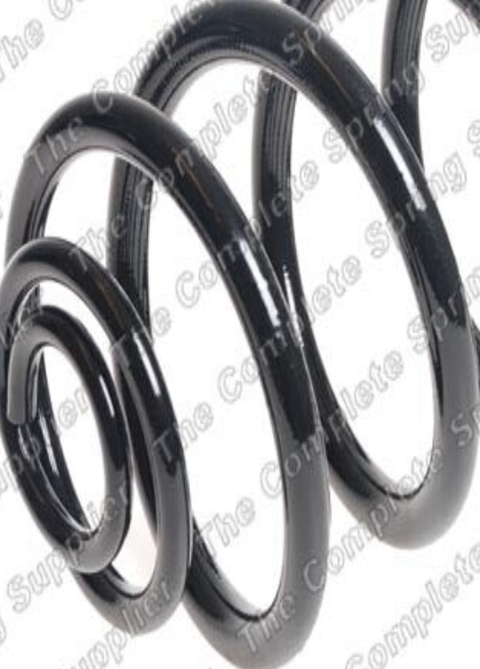 Suspension spring Rear Axle Coil spring with inconstant wire diameter 260029