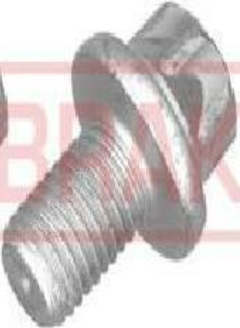 Front QUICK BRAKE 11613K Bolt, brake caliper for SMART