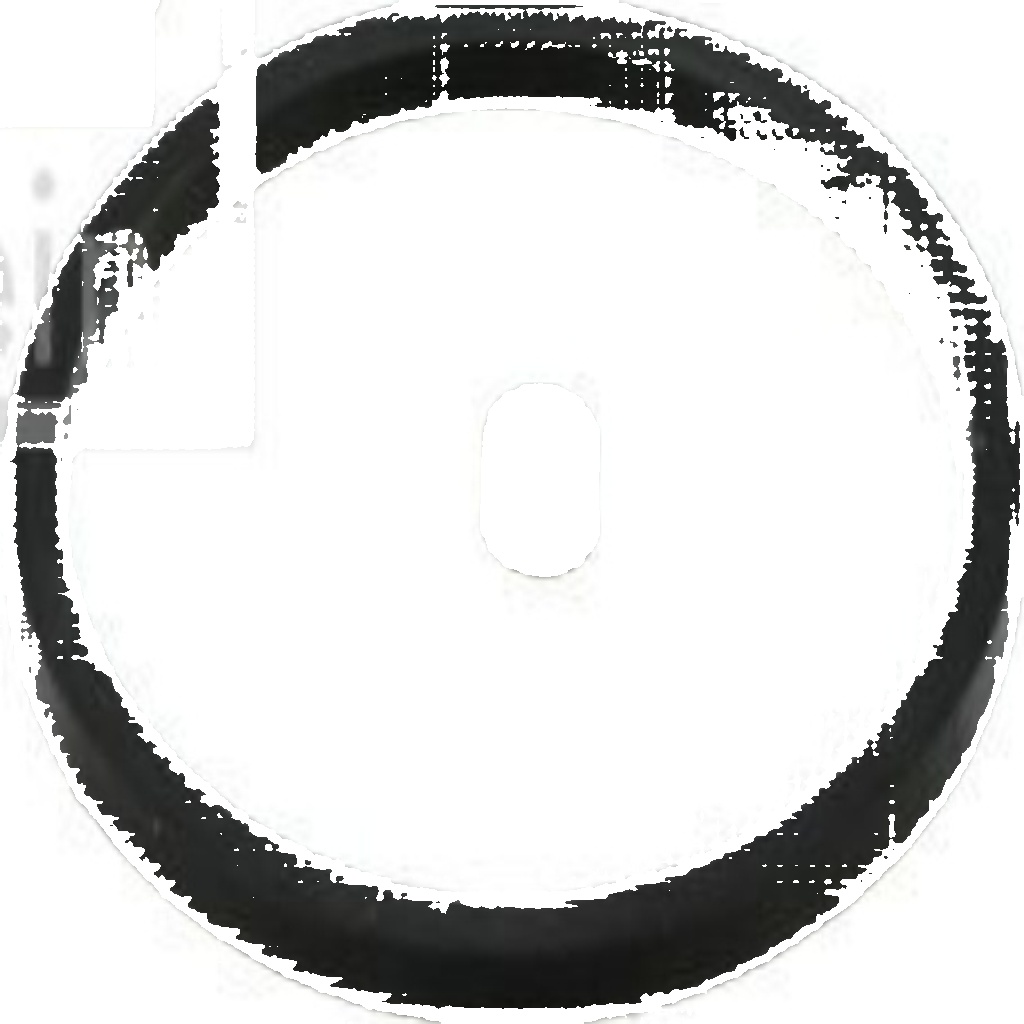 FERDINAND BILSTEIN 23305 Fuel filter for OPEL,SAAB,VAUXHALL
