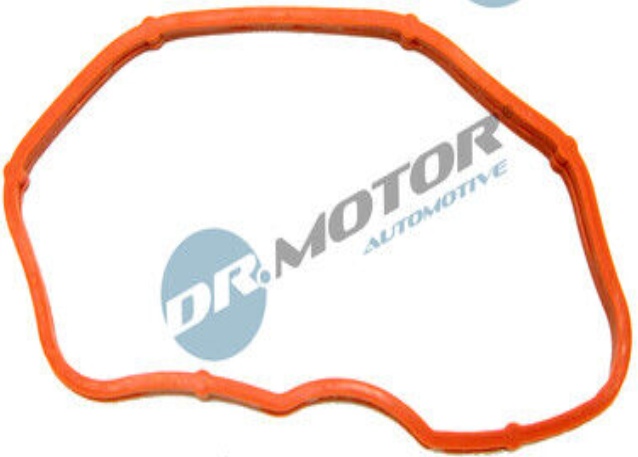 DRM01665 Dr.Motor Automotive Gasket, intake manifold for AUDI,PORSCHE,VW