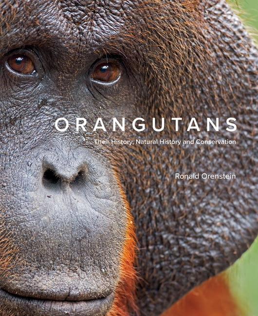 Orangutans by Ronald Orenstein - 9780228103783