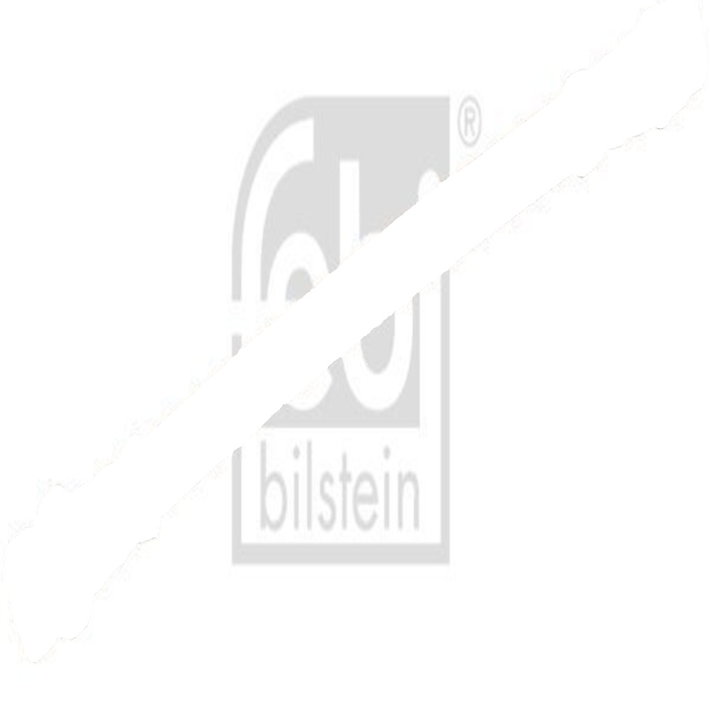 Rear left and right FERDINAND BILSTEIN 45301 Brake Hose for RENAULT
