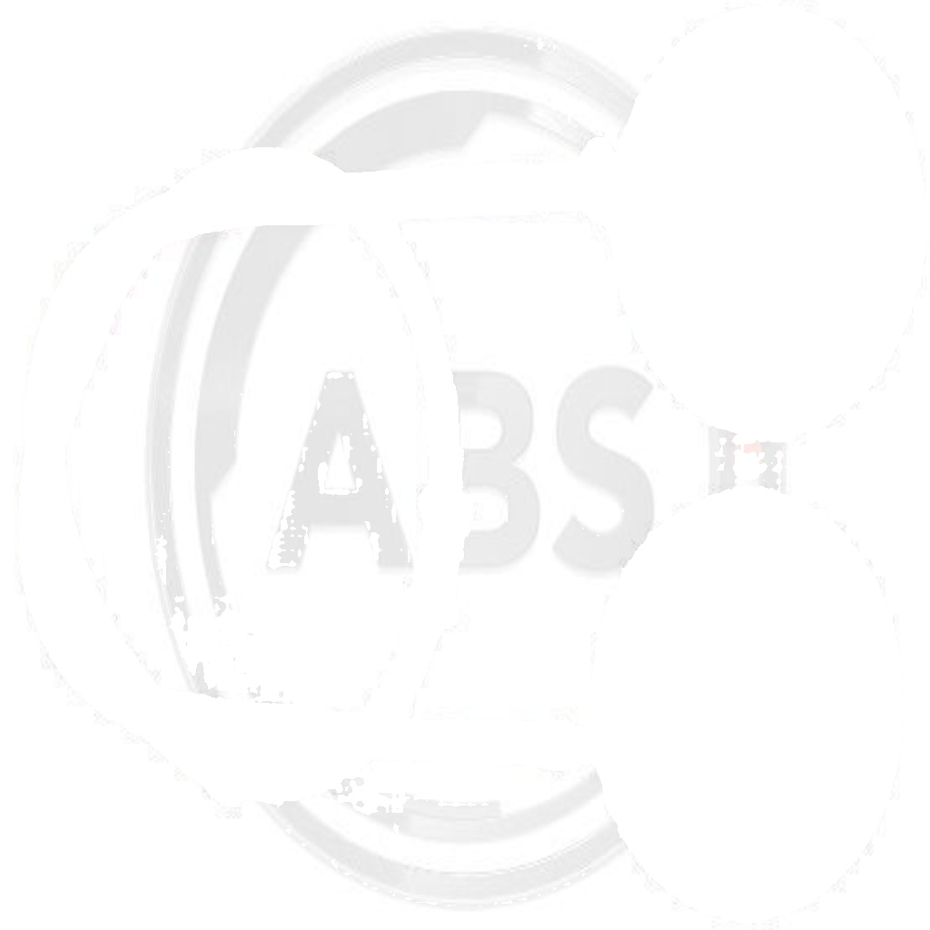 Original A.B.S. Cable Pull Parking Brake K16898 for Ford