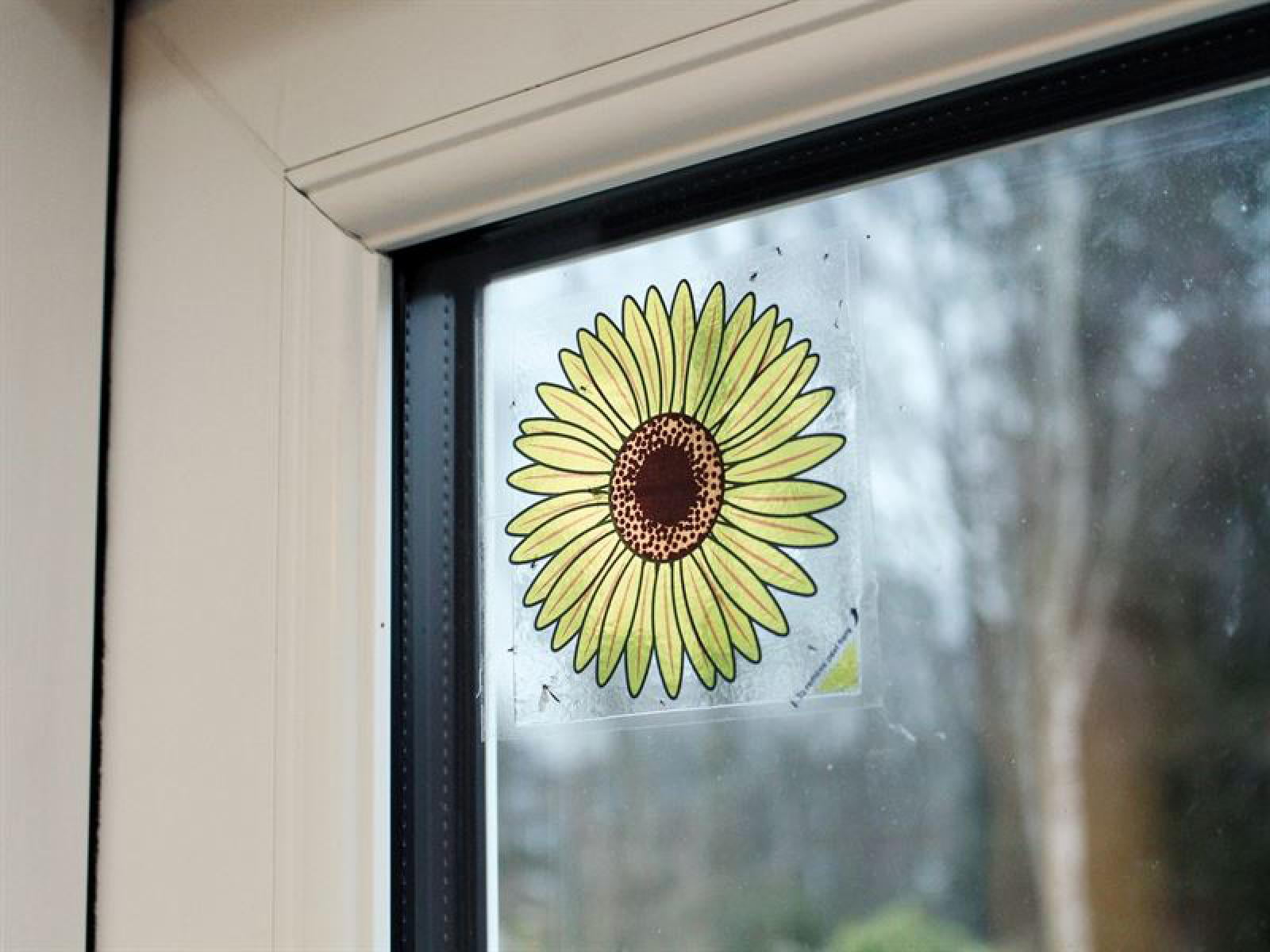 Rentokil Advanced Window Fly Traps (Pack 4) - Image 9