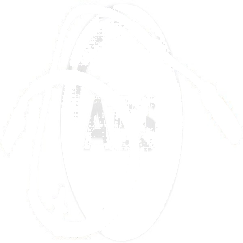 31264 A.B.S. Sensor, wheel speed for LAND ROVER