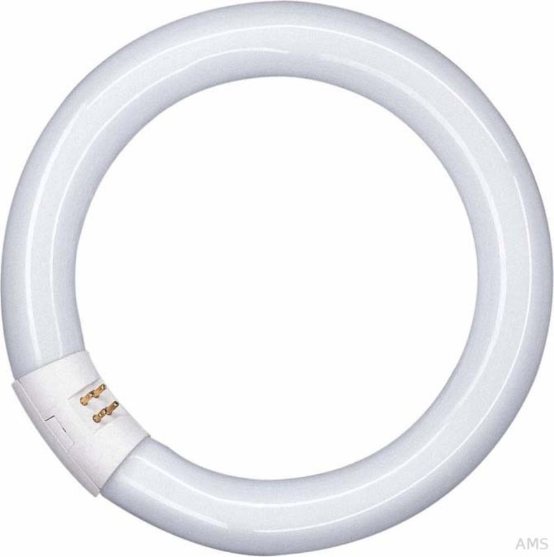 Osram Fluorescent Tube T9 L 22W 865 C G10q Ringform Lumilux Daylight 22W/11-765