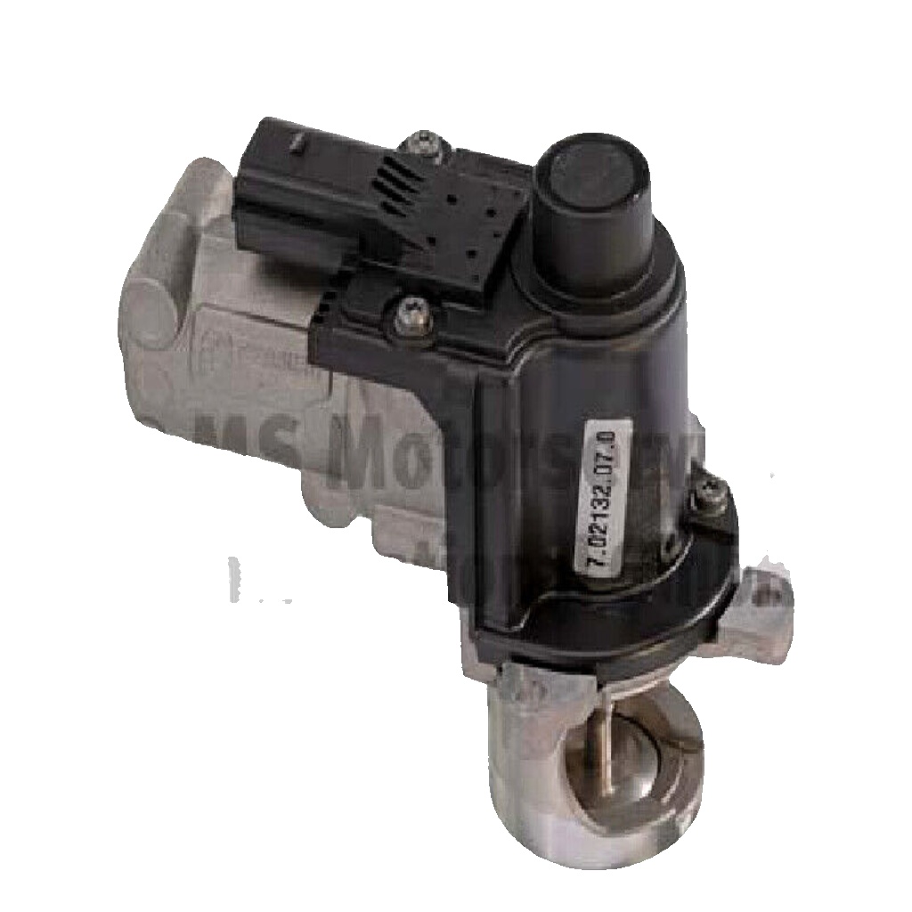 PIERBURG 7.02132.07.0 EGR Valve for AUDI,PORSCHE,VW