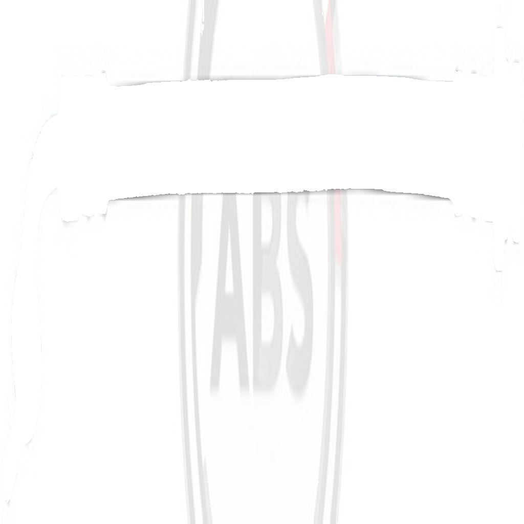 A.B.S.-OE SL 6576-OE Brake Hose for INFINITI