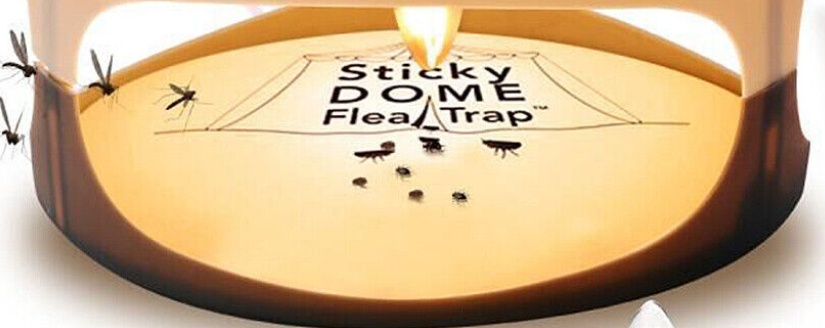Electric Flea Trap Killer Lamp Home 2x Light Bulbs & Sticky Discs Non-Poisonous