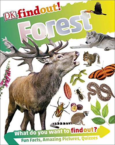 DKfindout! Forest By DK