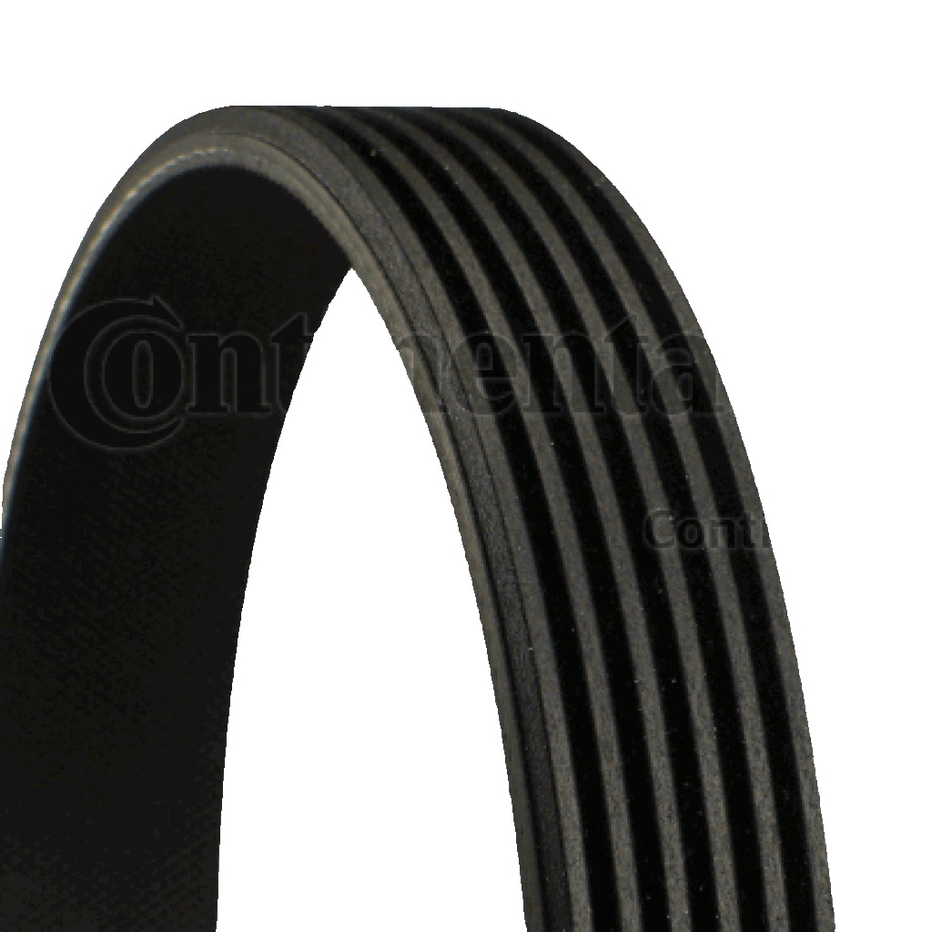 6PK1293 CONTINENTAL CTAM V-Ribbed Belt for AUDI,SEAT