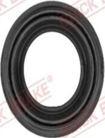 Rear QUICK BRAKE 114-0176 Repair Kit, brake caliper for BMW
