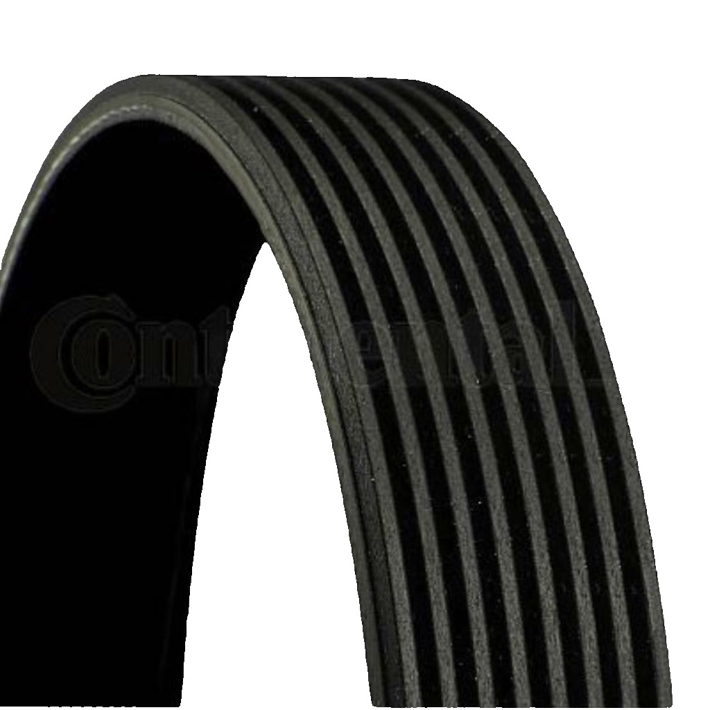 8PK1427 CONTINENTAL CTAM V-Ribbed Belt for MERCEDES-BENZ,VOLVO