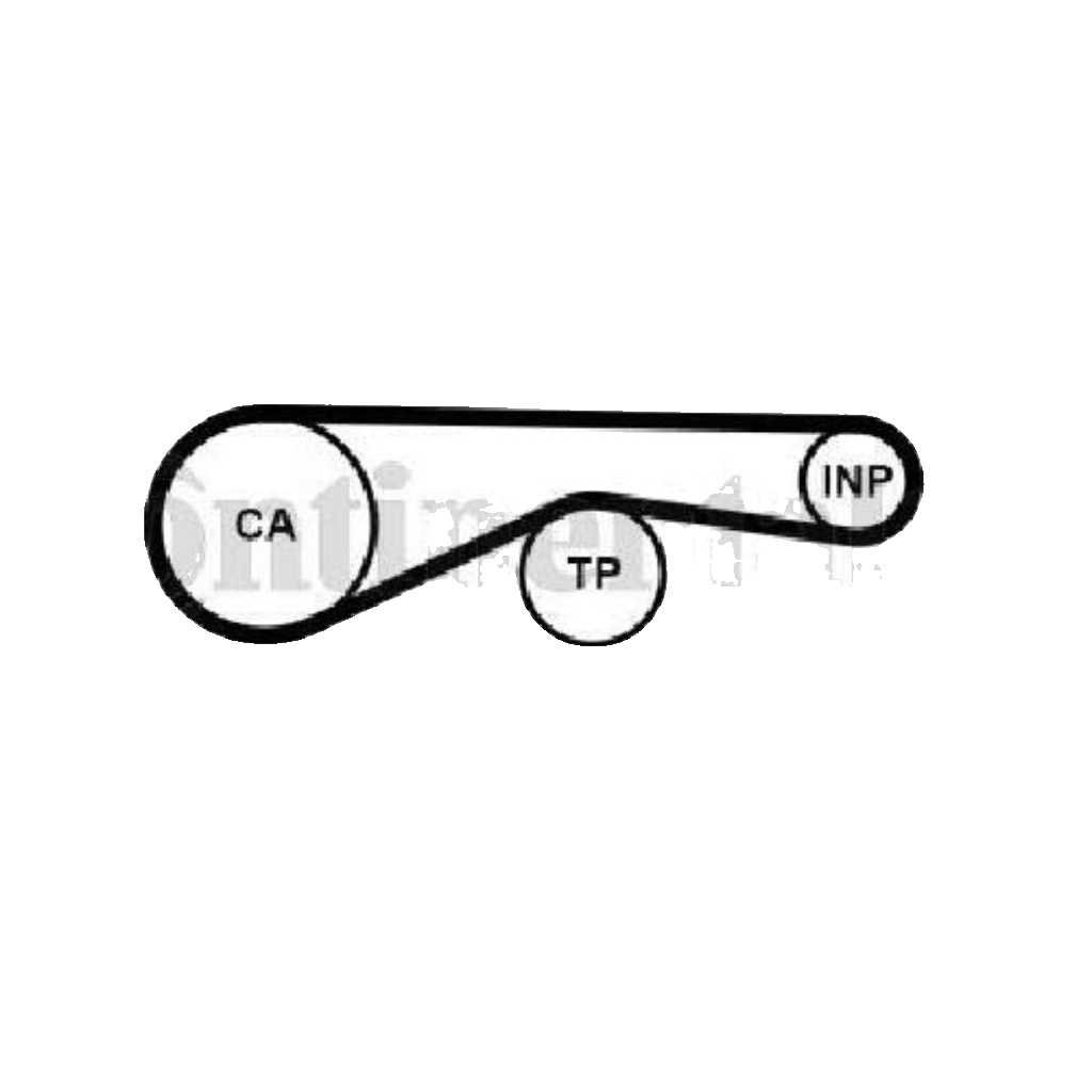 Timing belt CT1095 CONTINENTAL CTAM for AUDI A8 D3 Q7