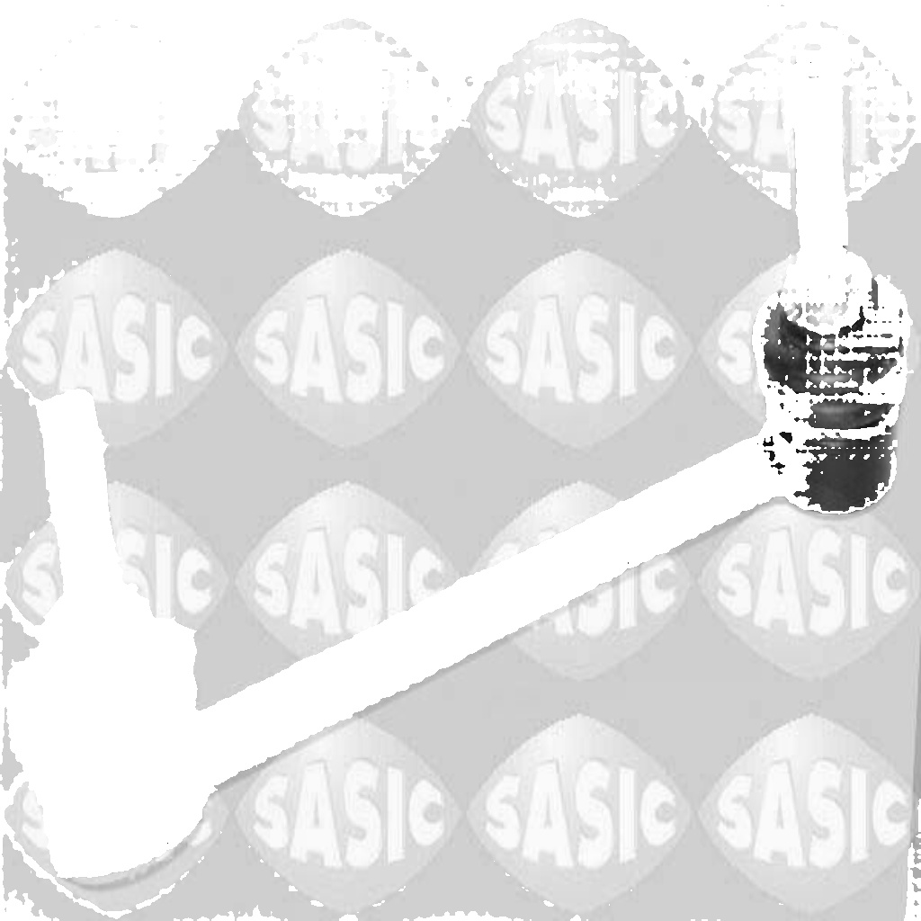 Fits SASIC 2306320 LEFT STABILIZER BAR STUB AXLE  ⭐UK Stock⭐