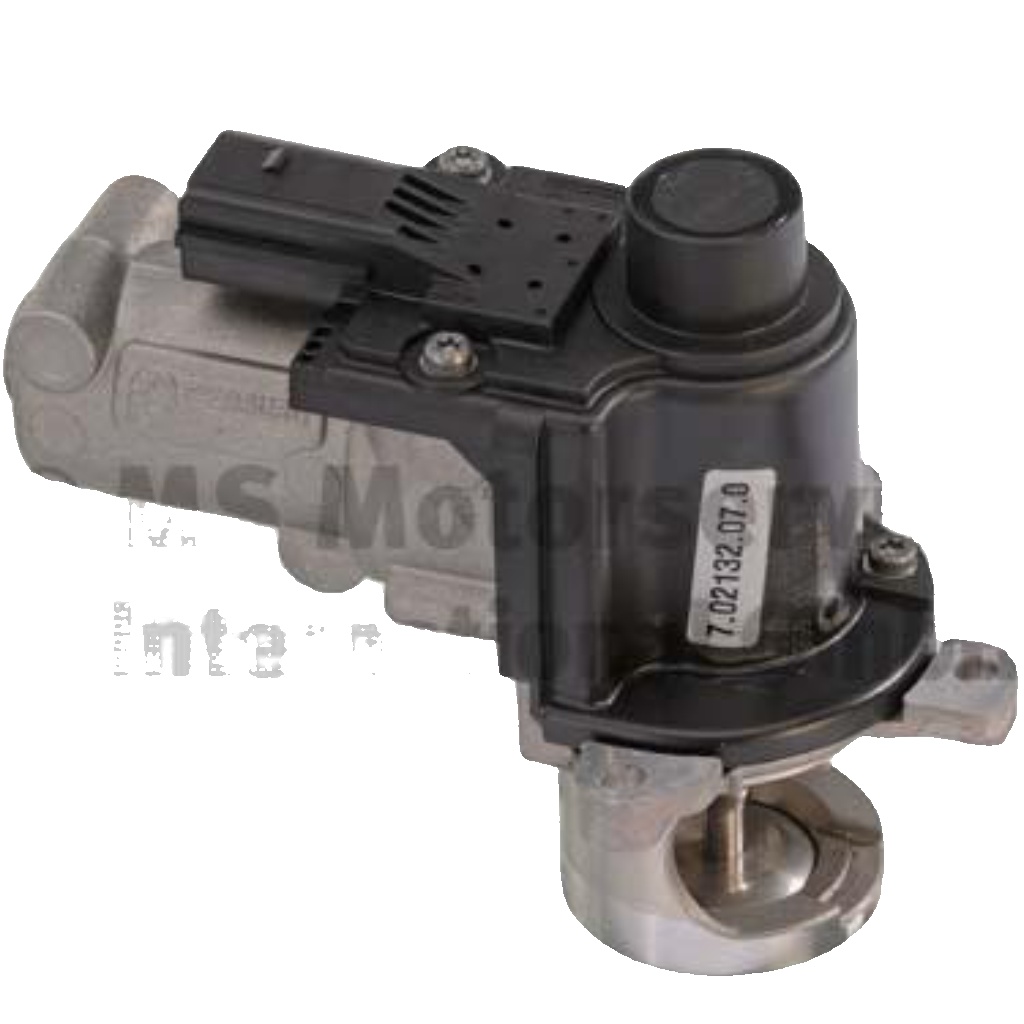 PIERBURG 7.02132.07.0 EGR Valve for AUDI,PORSCHE,VW