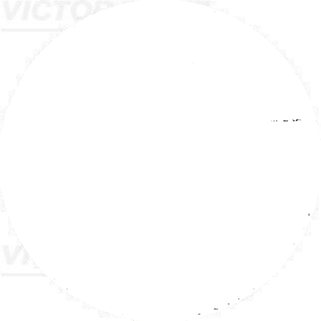 81-24010-00 VICTOR REINZ Shaft Seal, camshaft