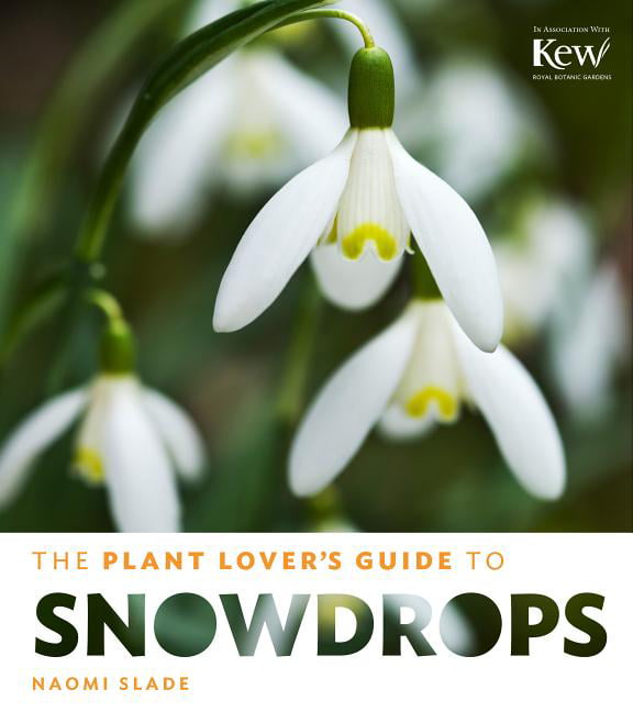 The Plant Lover's Guide to Snowdrops,Naomi Slade - Image 4