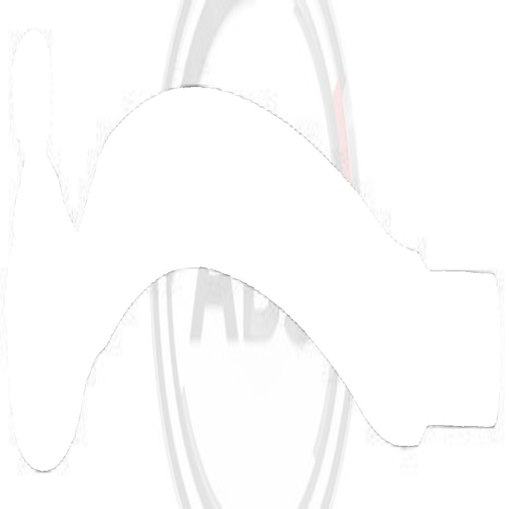 230420 A.B.S. Tie Rod End for MG,ROVER