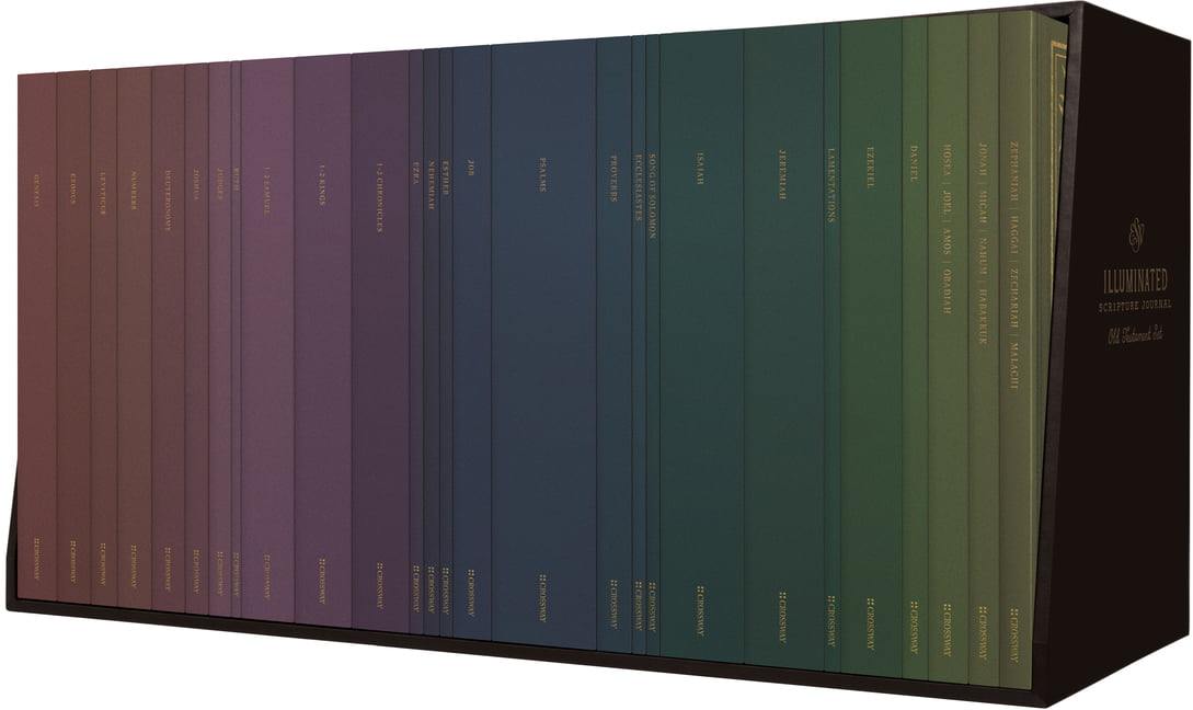 ESV Illuminated Scripture Journal - 9781433568565