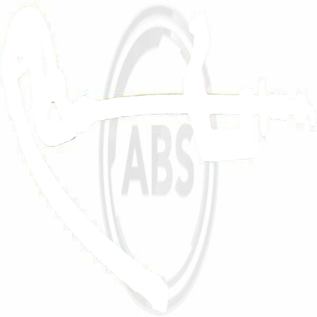 SL 6345 A.B.S. Brake Hose for CITROËN,PEUGEOT