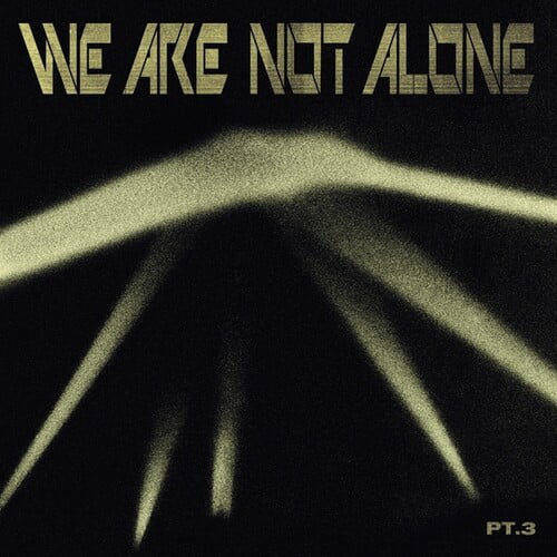 VARIOUS - We Are Not Alone Part 3 - Vinyl (2xLP)