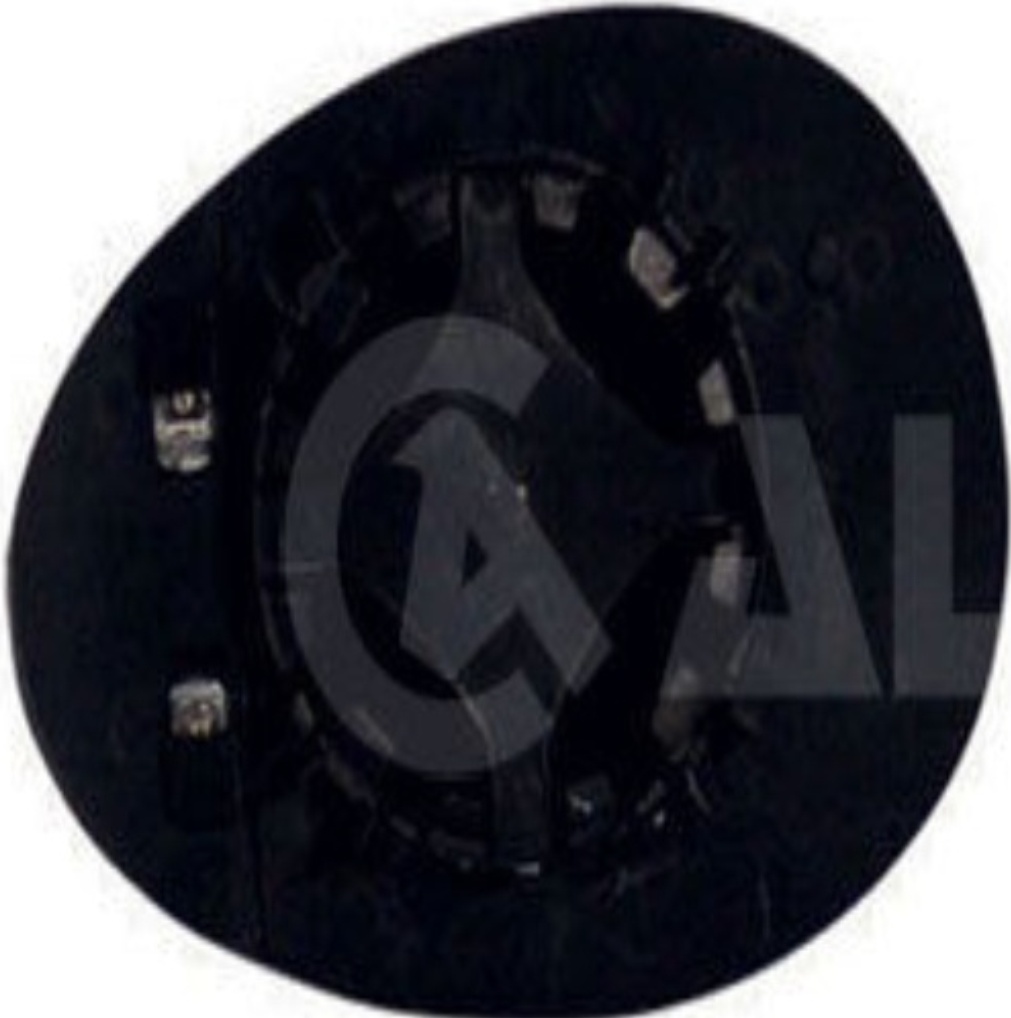 Right ALKAR 6472937 Mirror Glass, outside mirror for MINI