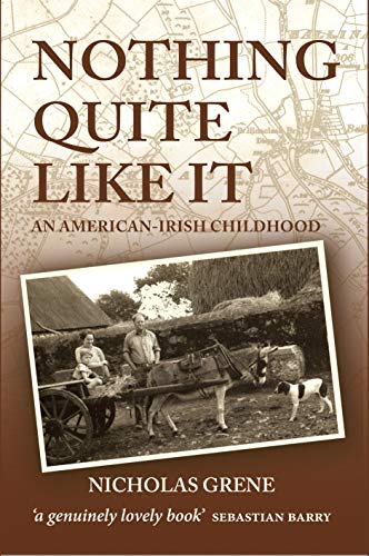 Nicholas Grene: Nothing Quite Like It [2011] paperback