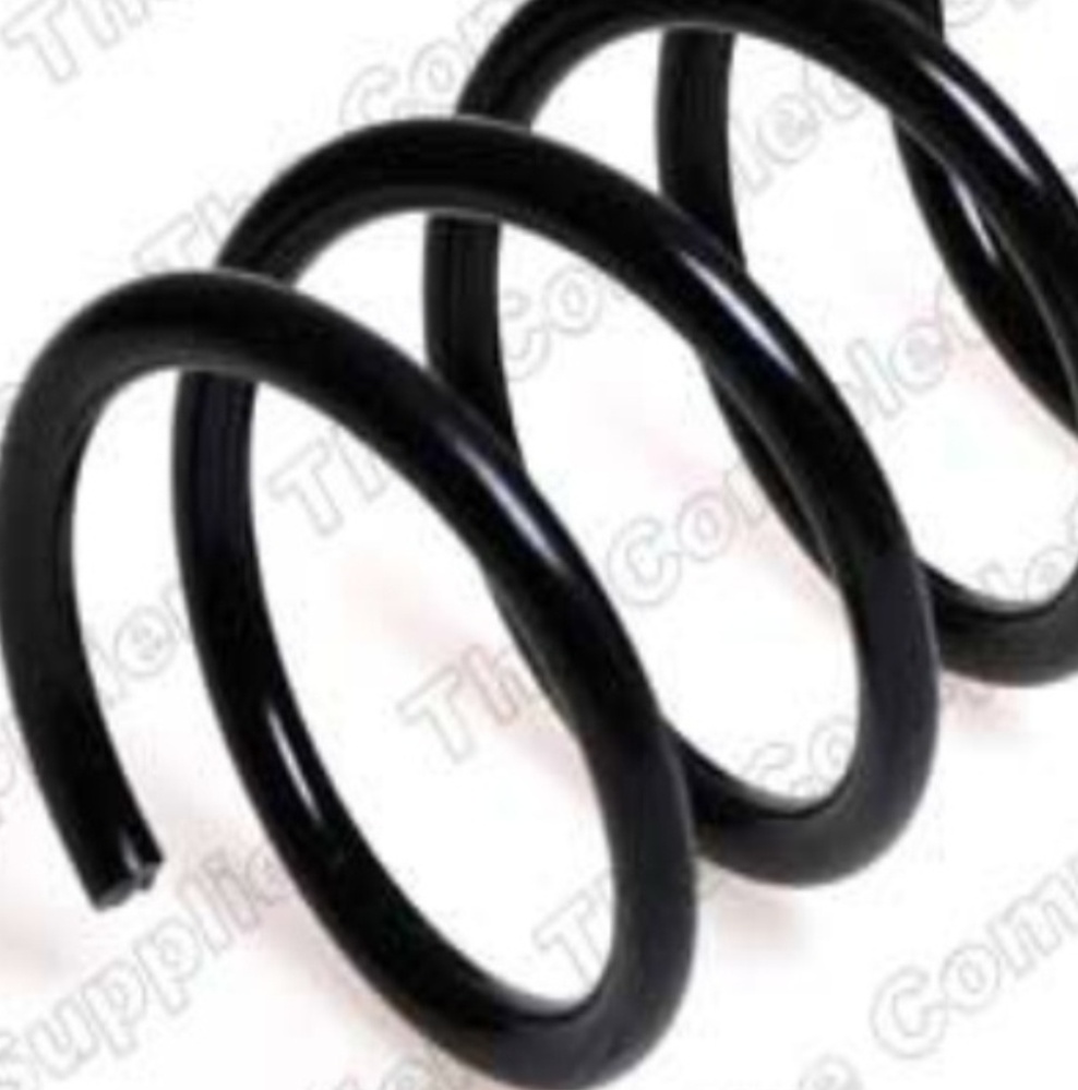 Rear LESJÖFORS 4226123 Suspension Spring for FIAT