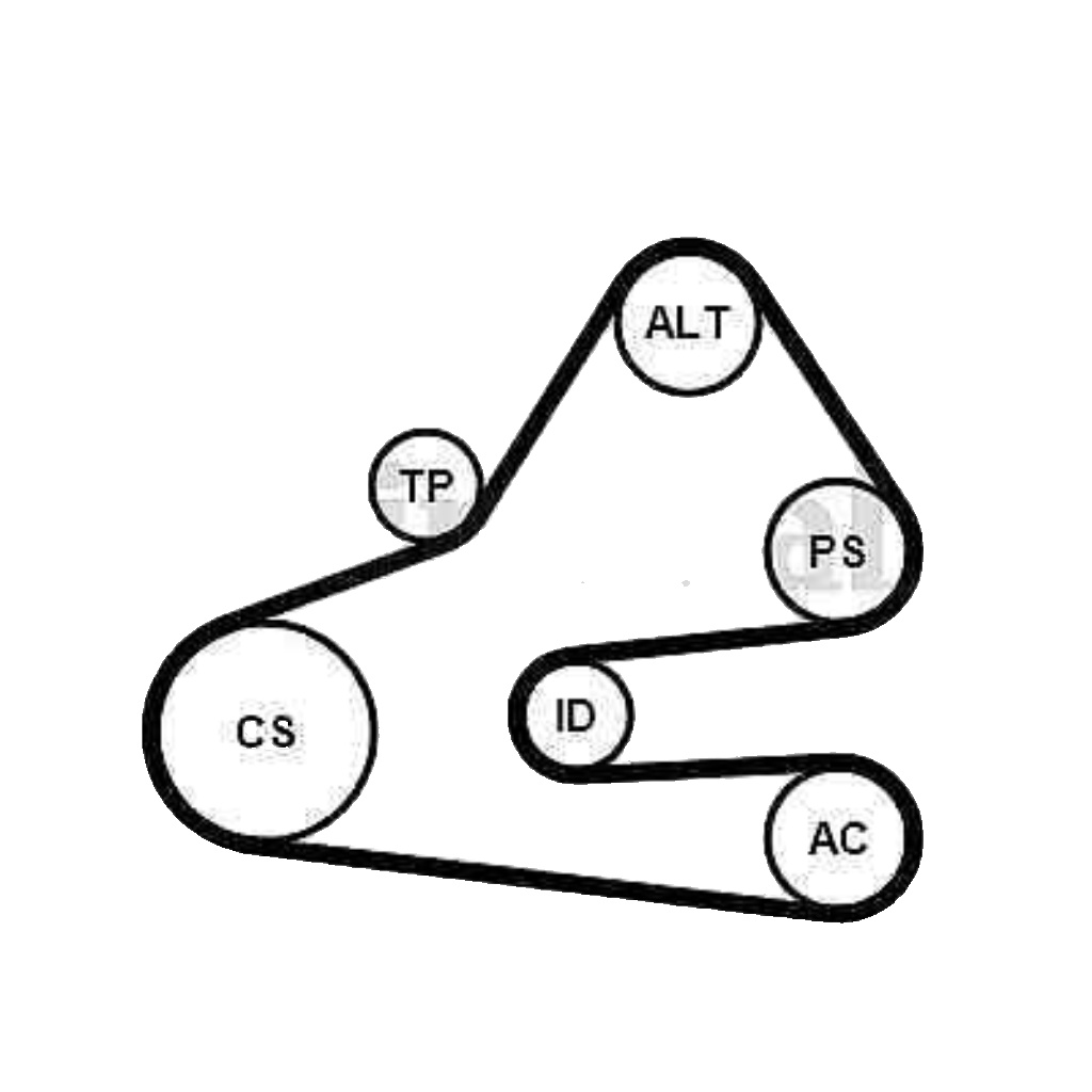 6PK1613K1 CONTINENTAL CTAM V-Ribbed Belt Set for AUDI,VW