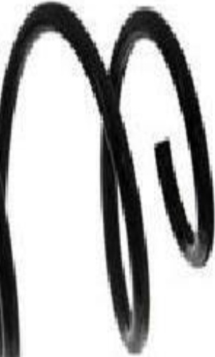 Front FERDINAND BILSTEIN 39580 Coil Spring for FIAT