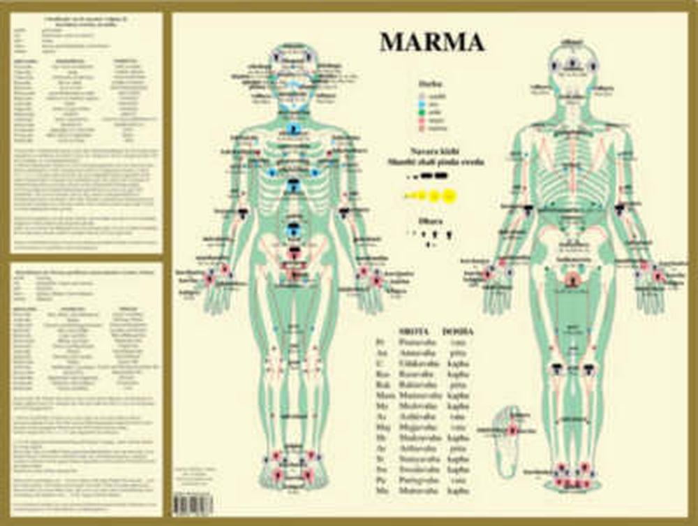 Marma -- A2 Poster by Jan Baarle - 9789070281663