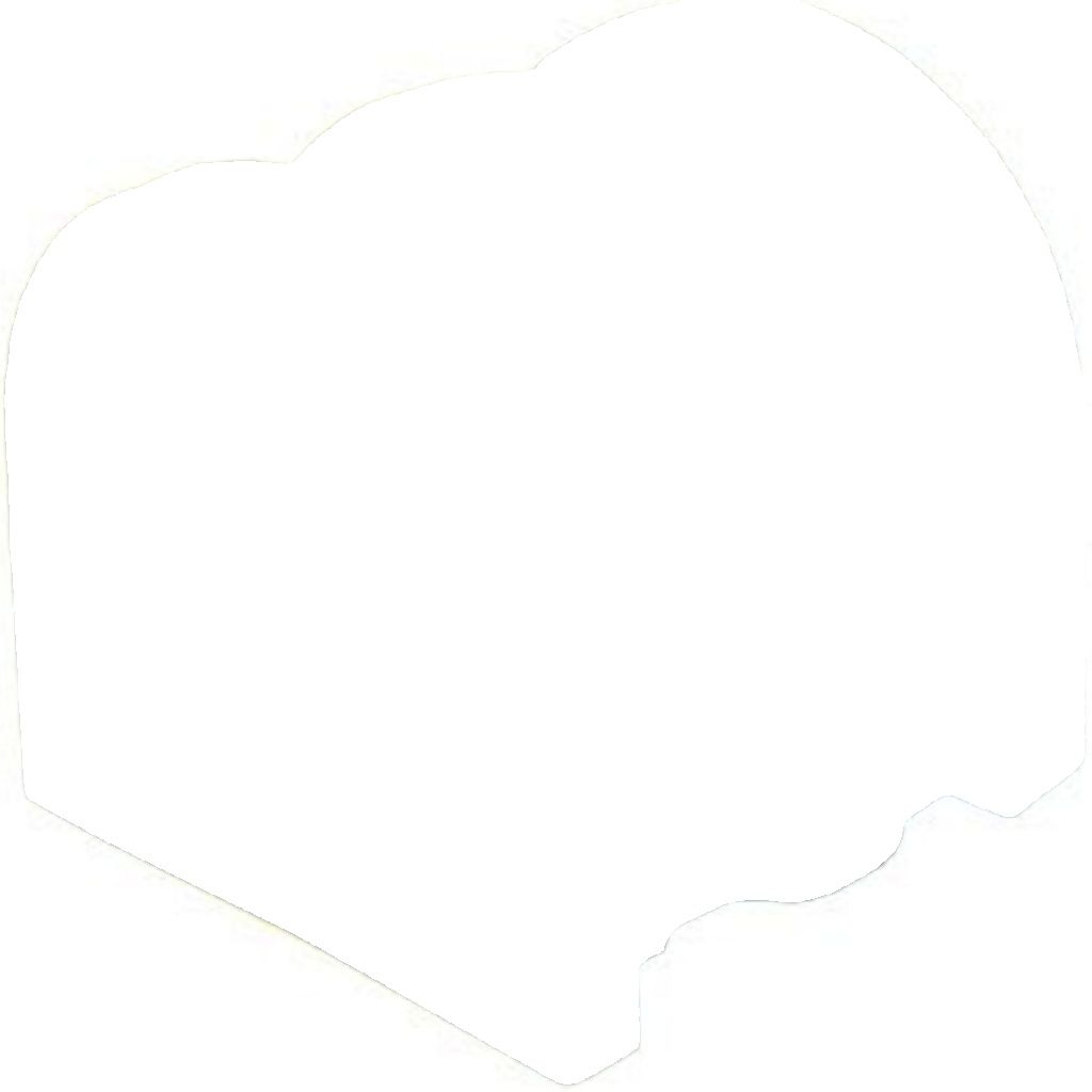 Original Metzger Stabilizer 52069508 for Renault