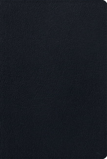 ESV Men's Study Bible by Ray Ortlund, Alistair Begg, R. Kent ... - 9781433590566