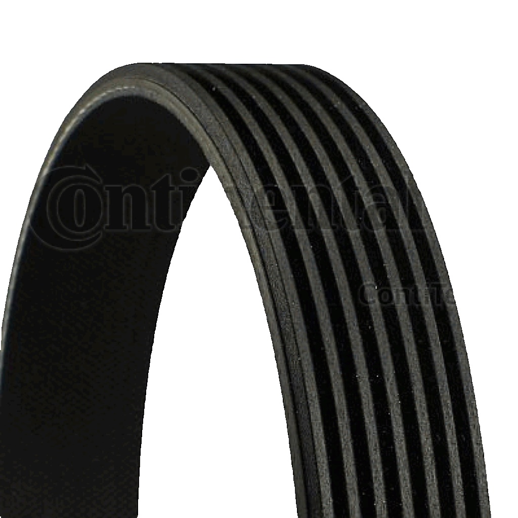 7PK1770 CONTINENTAL CTAM V-Ribbed Belt for HONDA,LAND ROVER,RENAULT