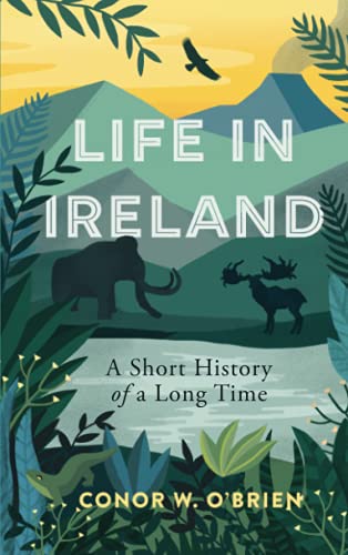 Life in Ireland