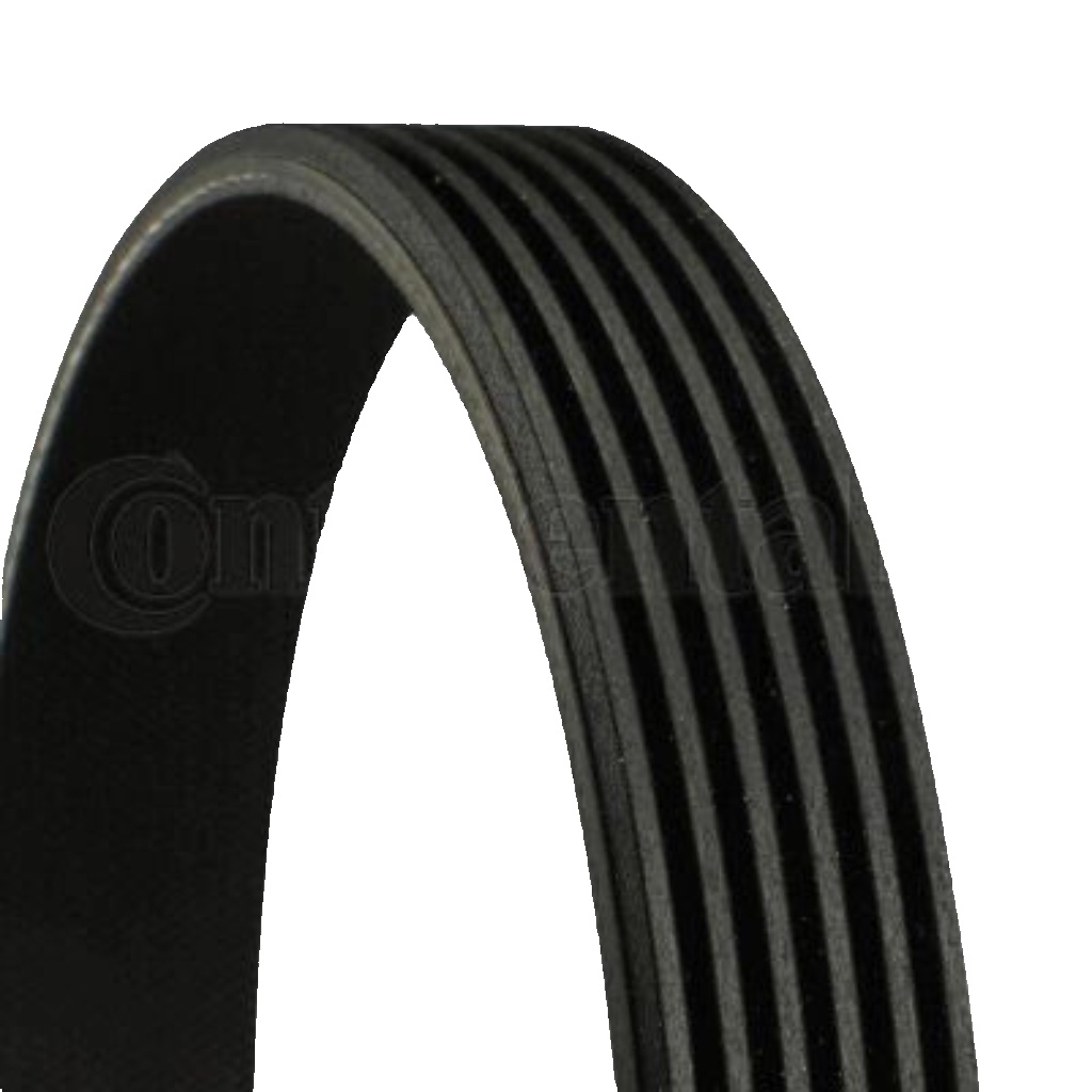 6PK802 EXTRA CONTINENTAL CTAM V-Ribbed Belt for SMART