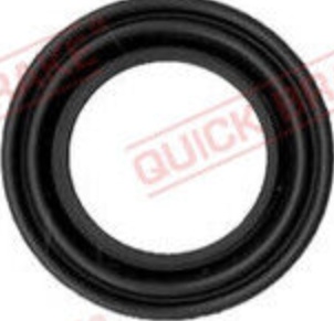 Front QUICK BRAKE 114-0049 Repair Kit, brake caliper for ,FORD,IVECO,MAZDA,MITSU