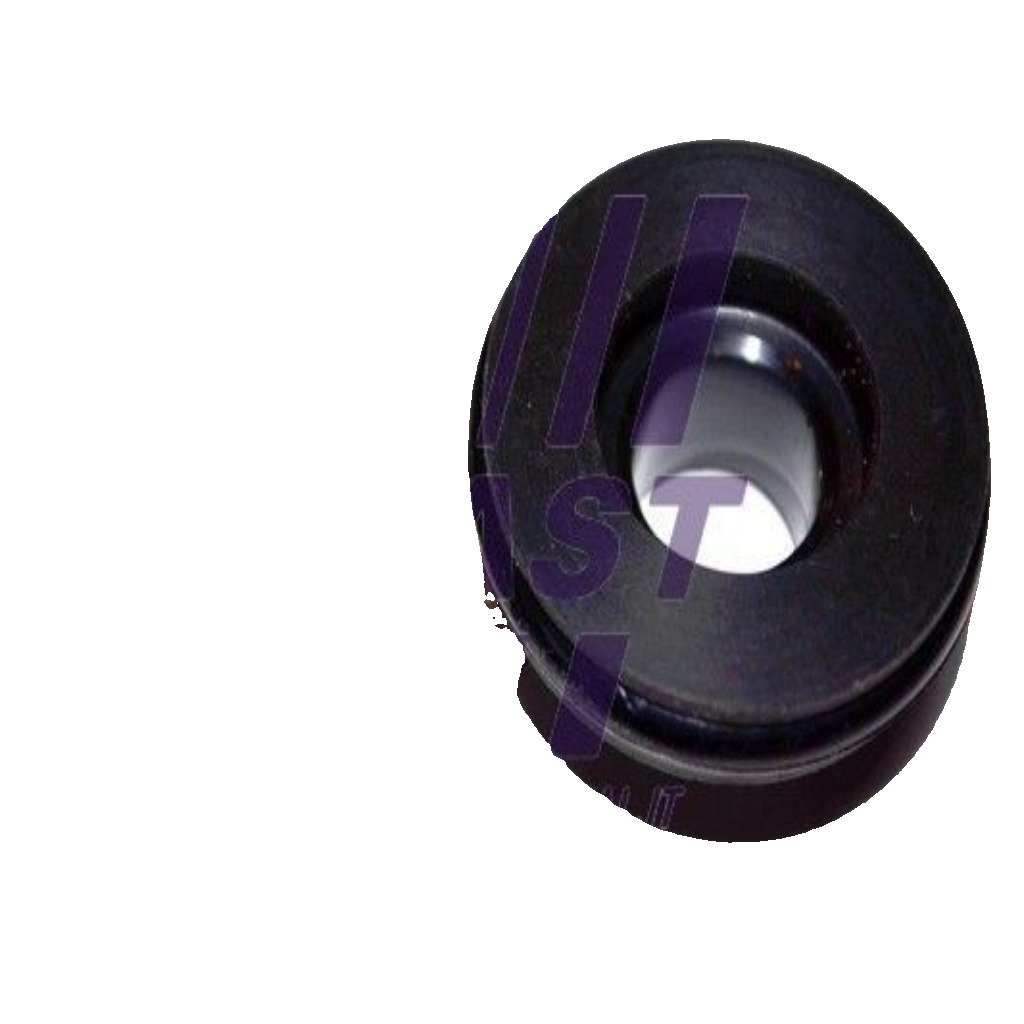FAST FT95543 Roller Guide, sliding door for RENAULT