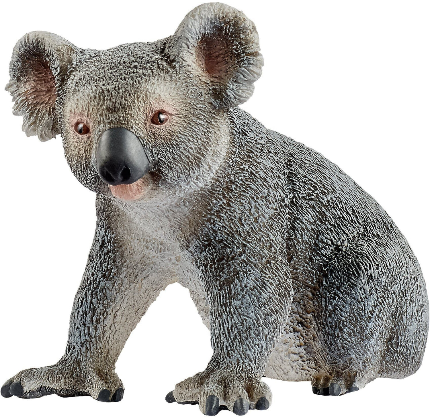 Koala Bear