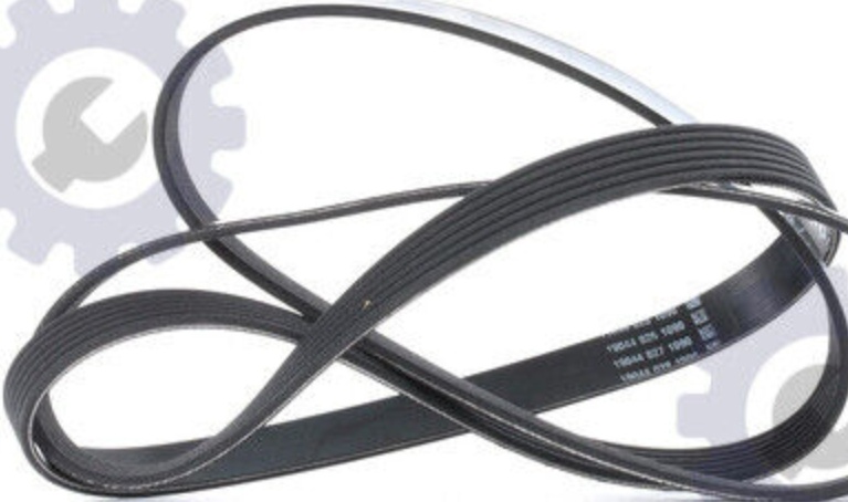 Multi-ribbed V-belt 6PK1880 DAYCO for AUDI VW OPEL TOYOTA SKODA SEAT MITSUBISHI