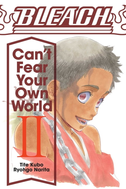 Bleach: Can't Fear Your Own World, Vol. 2 Volume 2