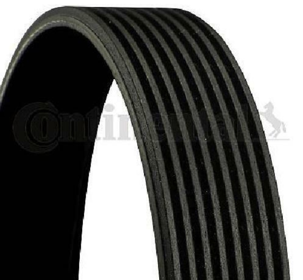 8PK1786 CONTINENTAL CTAM V-Ribbed Belt for BMW