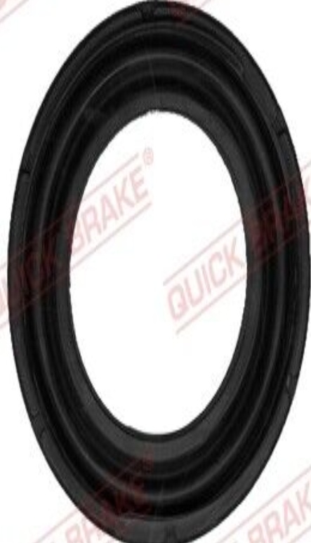 ✅Fits QUICK BRAKE QB114-0243 Disc brake caliper repair kit QB114-024 ⭐UK Seller⭐