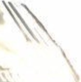 Powerflex Rr Toe LinkArm Bushes for Civic Mk4 EC-EE Ballade 87-91 PFR25-114
