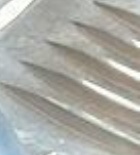 50mm ANGLED PIT BIKE / ATV CONE STYLE AIR FILTER 50cc 110cc 125cc PITBIKE