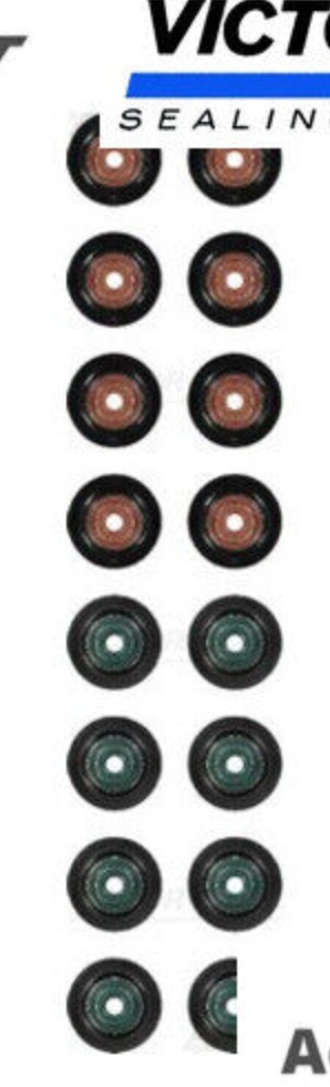 VICTOR REINZ 12-35546-01 Seal Set, valve stem for FORD,FORD ASIA & OCEANIA,FORD
