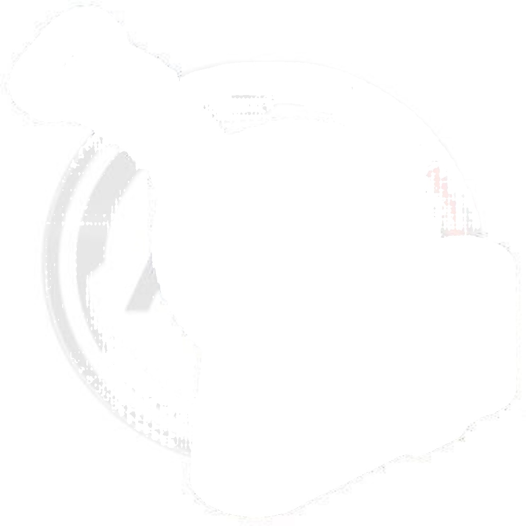 271523 A.B.S. Control Arm-/Trailing Arm Bush for MINI