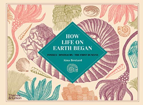 Aina Bestard How Life on Earth Began (Hardback) - Image 4
