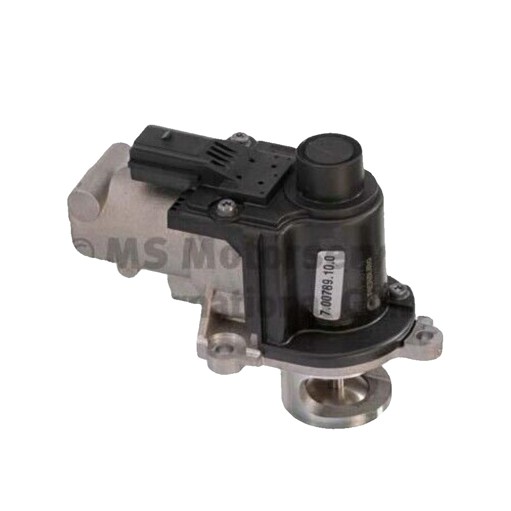 PIERBURG 7.00789.10.0 EGR Valve for AUDI,PORSCHE,VW